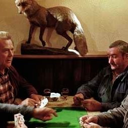 Photo Nicolas Guillou