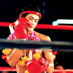 Photo Fighting beauty