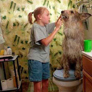 Photo AnnaSophia Robb