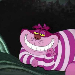 Photo Wilfred Jackson