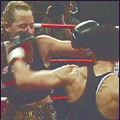Photo A knock out