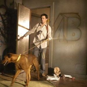 Photo Les Forces du Mal