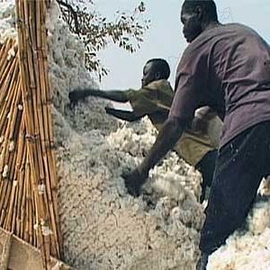 Photo Olivier Zuchuat