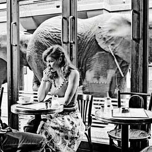 Photo Dagur Kari