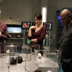 Photo Threshold : premier contact