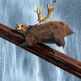 Photo Anthony Stacchi