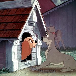 Photo Wilfred Jackson