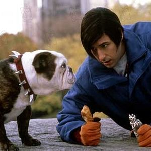 Photo Adam Sandler