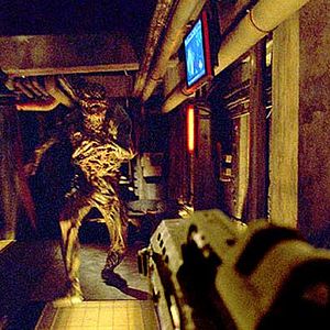 Photo Andrzej Bartkowiak