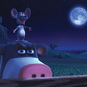 Photo Steve Oedekerk