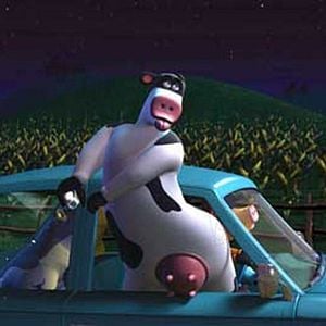 Photo Steve Oedekerk