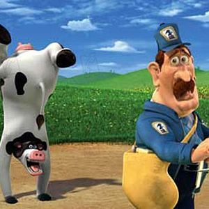 Photo Steve Oedekerk