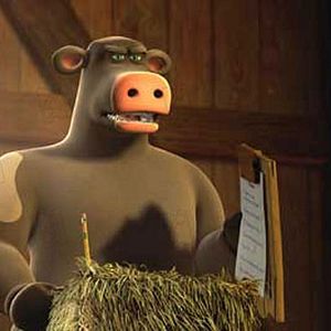 Photo Steve Oedekerk