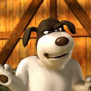 Photo Steve Oedekerk