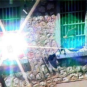 Photo Joseph Cesarini