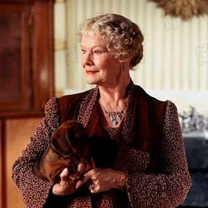 Photo Judi Dench