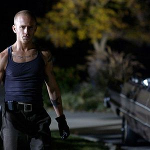 Photo Alpha Dog