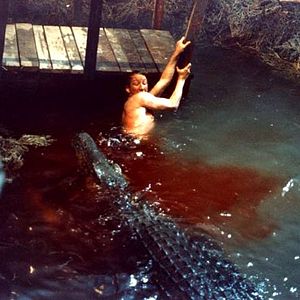 Photo Le Crocodile de la mort