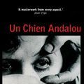 Photo Un Chien andalou