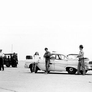 Photo La Balade sauvage