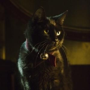 Photo Les Maîtres de l'Horreur