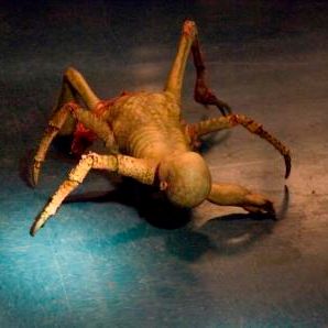 Photo John Carpenter