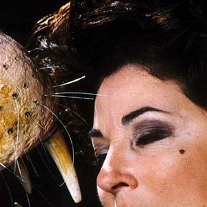 Photo Elisabeth Margoni