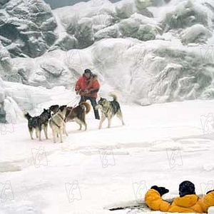 Photo Bruce Greenwood