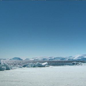 Photo Thierry Piantanida