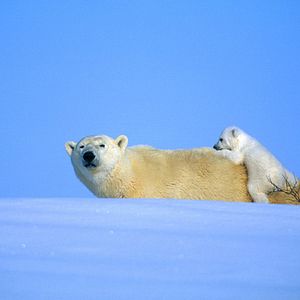 Photo Thierry Piantanida