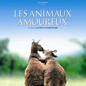 Photo Laurent Charbonnier