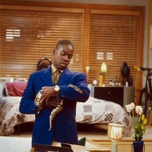 Photo Les Dessous de Veronica