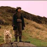 Photo The Adventures Of Greyfriars Bobby