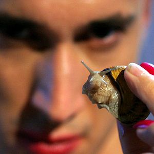 Photo Martin Cognito