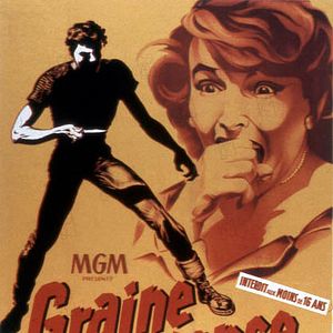 Photo Graine de violence