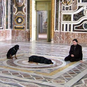 Photo Marco Bellocchio