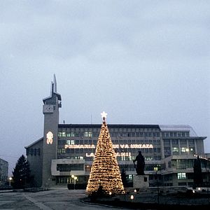 Photo Corneliu Porumboiu