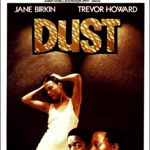 Photo Dust
