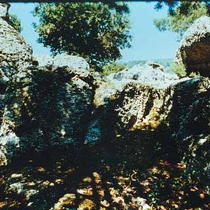 Photo Danièle Huillet