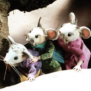 Photo Abdollah Alimorad