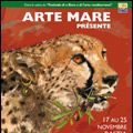 Photo Arte Mare - Festival du Film Méditerranée de Bastia