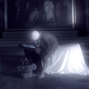 Photo In-sect