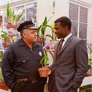 Photo Dans la chaleur de la nuit