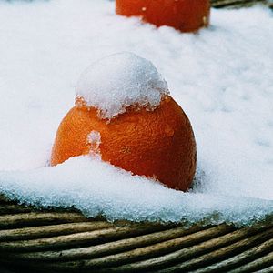 Photo Jean-Paul Fargier