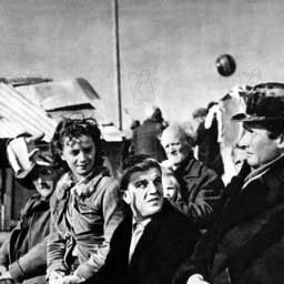 Photo Francesco Golisano