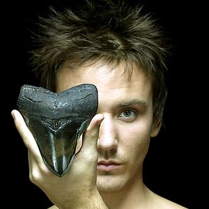 Photo Rob Stewart (II)