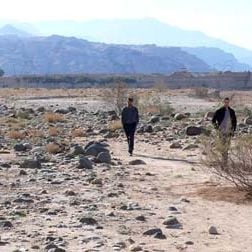 Photo Danielle Arbid