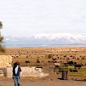 Photo Valérie Mitteaux