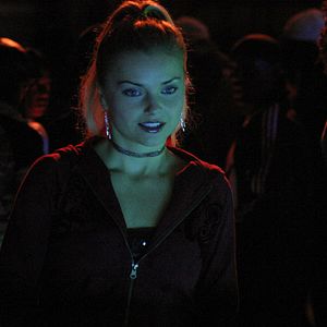 Photo David Petrarca