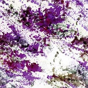 Photo Norman McLaren